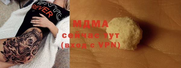 гашик Алексин
