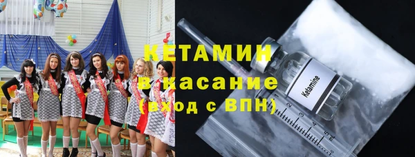 гашик Алексин
