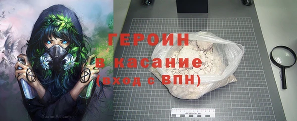 гашик Алексин