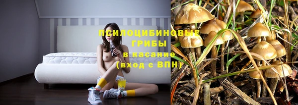 гашик Алексин