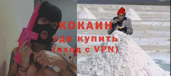 гашик Алексин