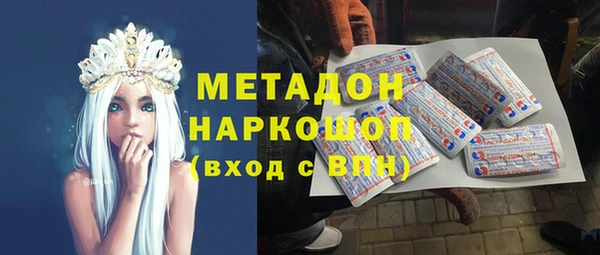 гашик Алексин
