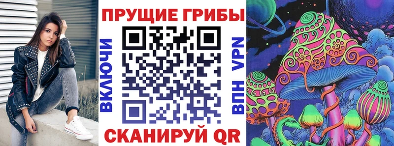 гидра как зайти  Сосновоборск  Галлюциногенные грибы Psilocybe 